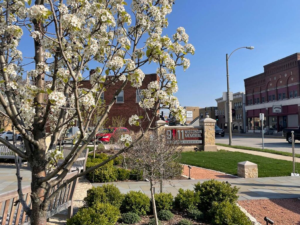 A vibrant spring day at the Wisconsin 9/11 Memorial & Education Center in Kewaskum, Wisconsin. The foreground is beautifully dominated by a pear tree in full bloom, its white blossoms vivid against the clear blue sky. Behind the tree, the memorial's signage prominently displays, with a backdrop of the quaint downtown area featuring historic brick buildings. The scene is peaceful, with lush greenery adding a touch of serenity to this meaningful site.