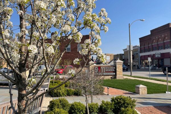 A vibrant spring day at the Wisconsin 9/11 Memorial & Education Center in Kewaskum, Wisconsin. The foreground is beautifully dominated by a pear tree in full bloom, its white blossoms vivid against the clear blue sky. Behind the tree, the memorial's signage prominently displays, with a backdrop of the quaint downtown area featuring historic brick buildings. The scene is peaceful, with lush greenery adding a touch of serenity to this meaningful site.