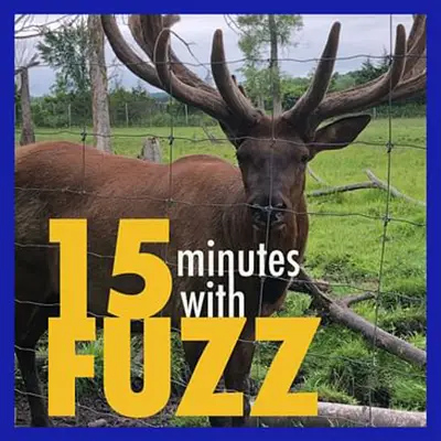 A picture of an elk behind a fence with the words "15 minutes with fuzz" in front of it.