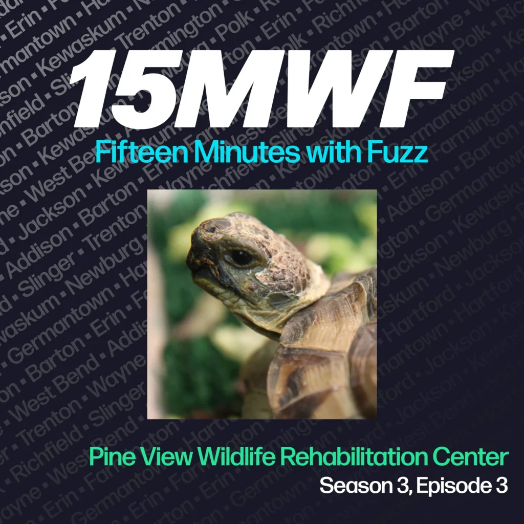 The cover art features a close-up photo of a turtle, representing the wildlife cared for at the Pine View Wildlife Rehabilitation Center. The podcast title “15MWF - Fifteen Minutes with Fuzz” is prominently displayed at the top. The background includes a pattern of names of different locations within Washington County, emphasizing the local focus of the podcast. The episode title “Pine View Wildlife Rehabilitation Center” is written at the bottom, along with the season and episode number.